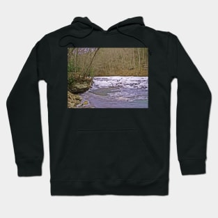 Take A Swim Hoodie